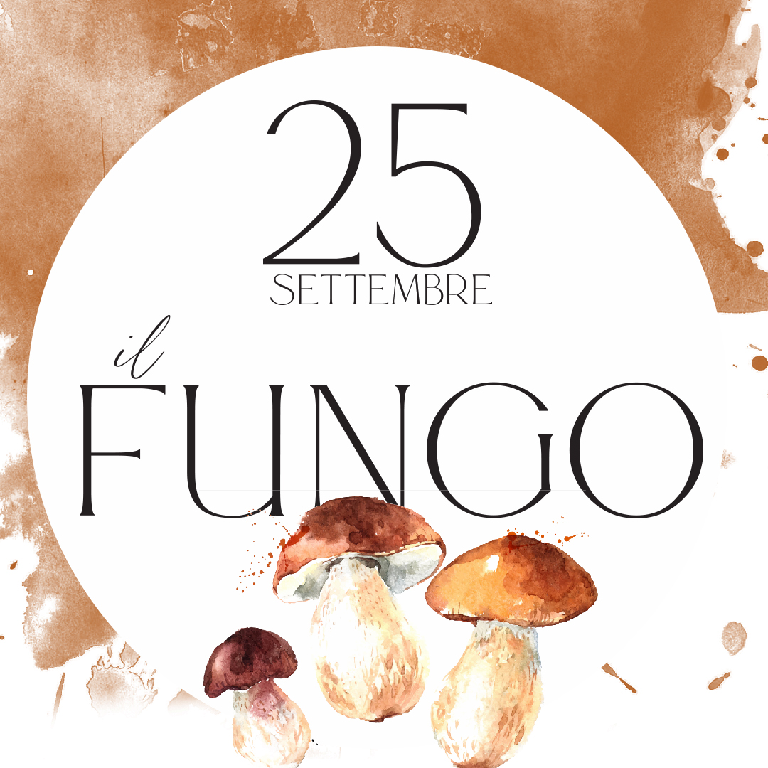 front funghi 2020