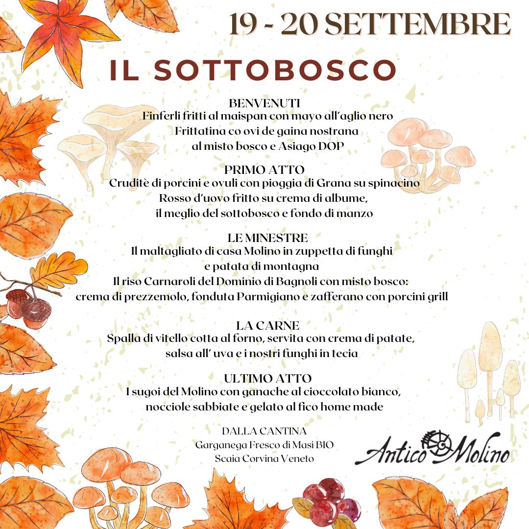 serata sottobosco 24 1