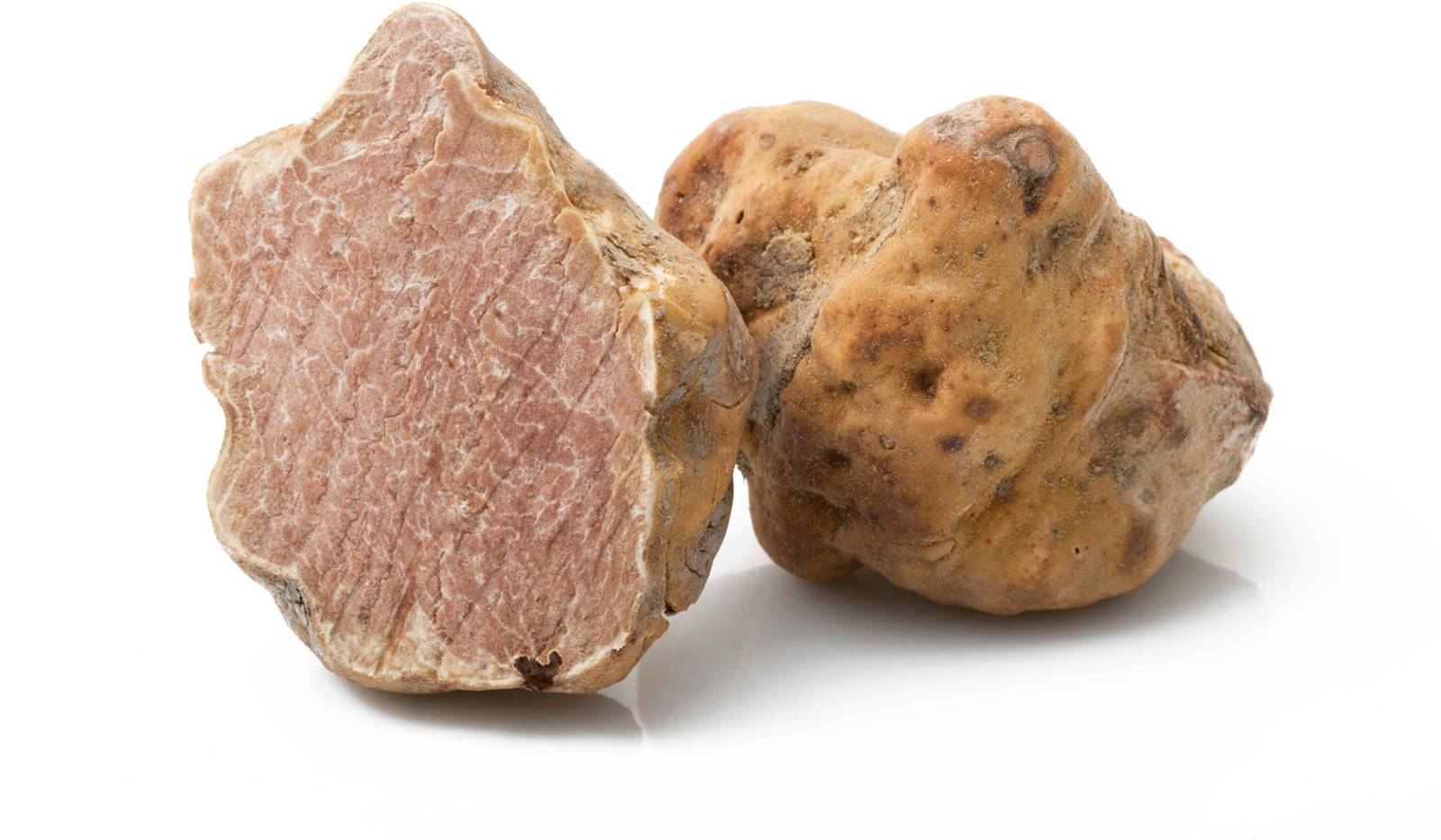 IL TARTUFO BIANCO 2026